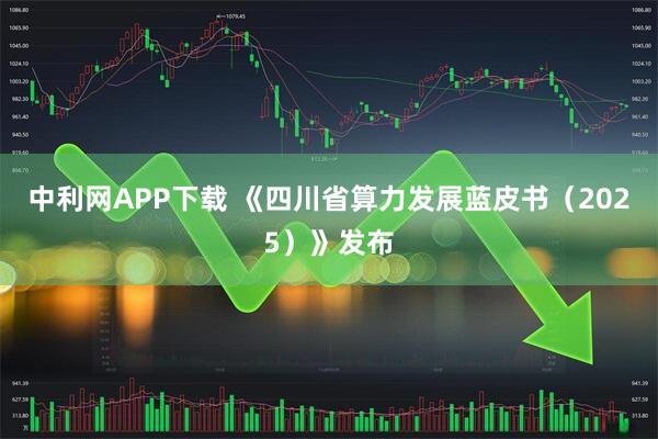 中利网APP下载 《四川省算力发展蓝皮书(2025)》发布